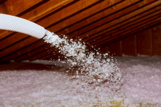 Best Specialized Insulation Services in St Michael, MN