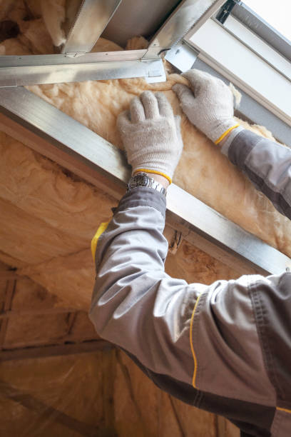 Best Residential Insulation in St Michael, MN