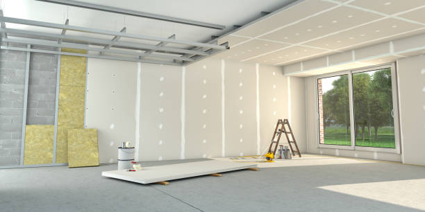 Best Insulation Maintenance and Repair in St Michael, MN