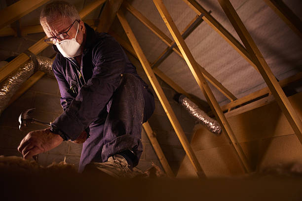 Best Spray Foam Insulation in St Michael, MN